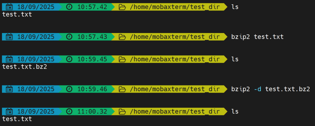 Essential Linux Commands for Bioinformatics Analysis: zip, gzip, bzip2, tar
