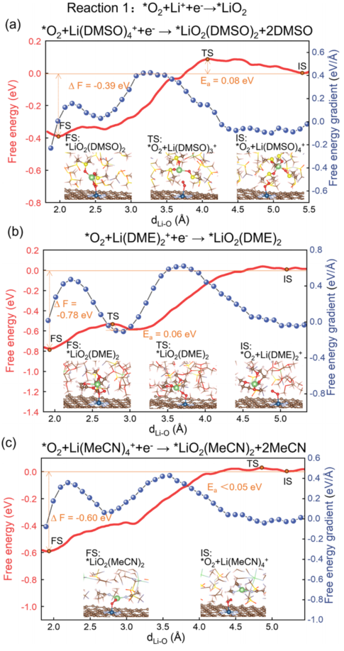 Ab Initio Molecular Dynamics Simulation of Co-N-C Single-Atom Catalysts at the Electrolyte Interface for Oxygen Reduction Reaction