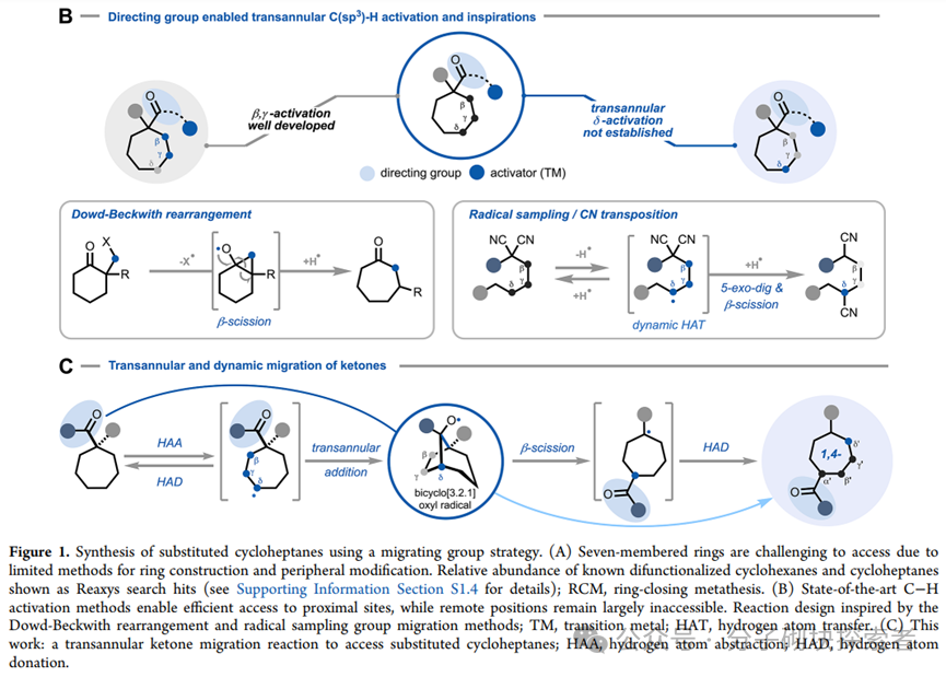 The Elusive Seven-Membered Ring Tamed! A New Photocatalytic Strategy Achieves Site-Selective Modification