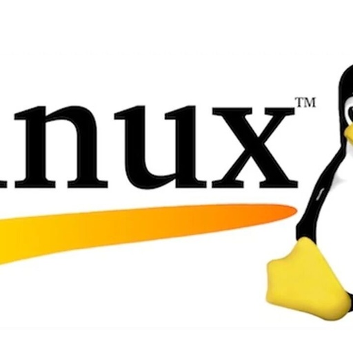 Installing and Using MinIO on Linux