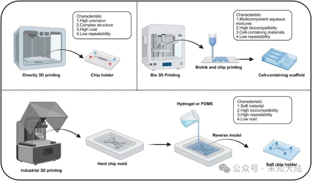 3D Printing Advances in Skeletal Muscle Chip Development