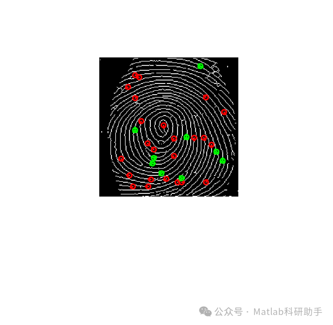 Fingerprint Recognition: Applications and MATLAB Code