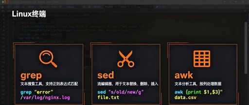 Mastering the 'Three Musketeers' of Linux: A Detailed Guide to grep, sed, and awk