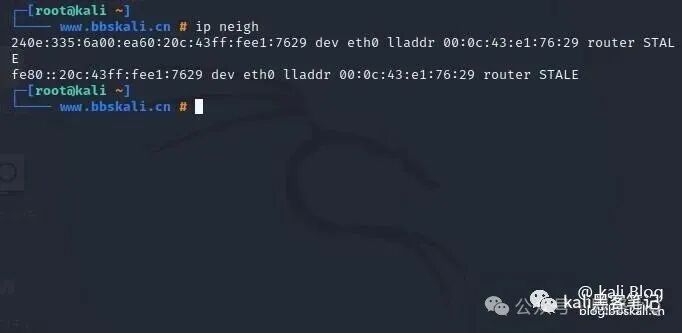 20 Common Network Commands in Kali Linux