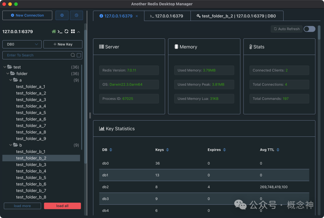 Cross-Platform Redis Management Tool for Developers