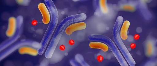 Overview of ADC Conjugation Technology