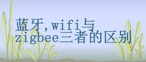 Differences Between Bluetooth, Wi-Fi, and Zigbee