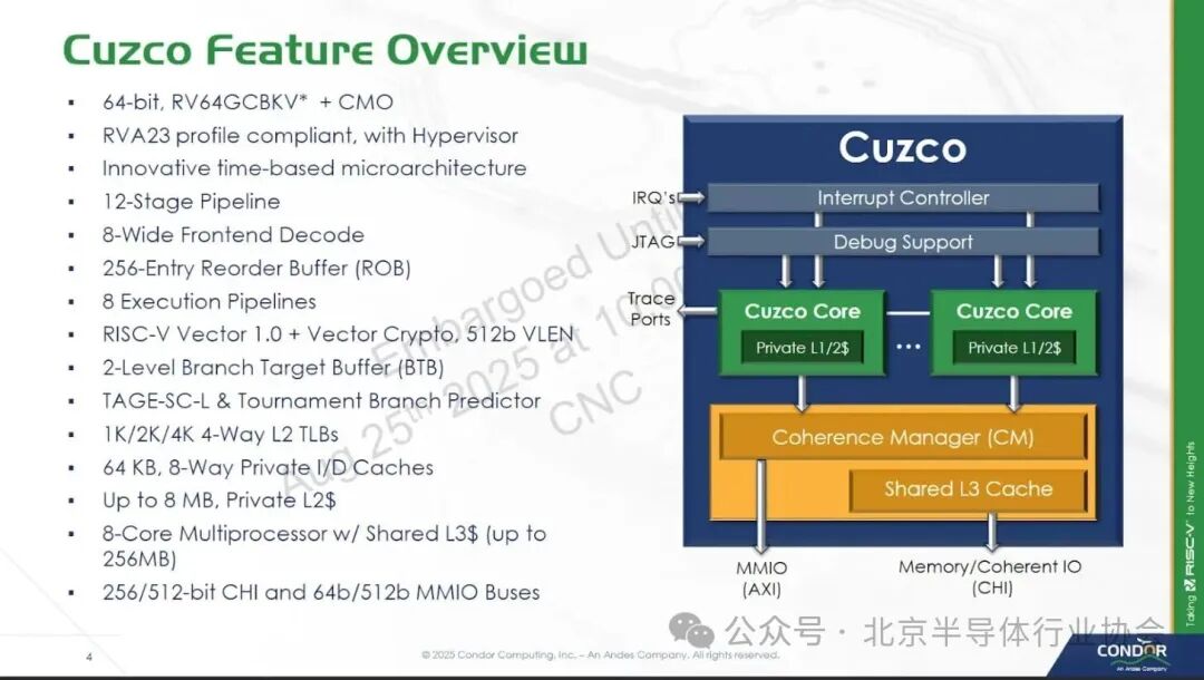Breaking the Norm with a RISC-V Chip