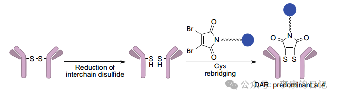 Summary and Reflections on the Application of Chemical Industry Technology 3 - ADC/XDC Conjugation (Pharmaceutical Industry)