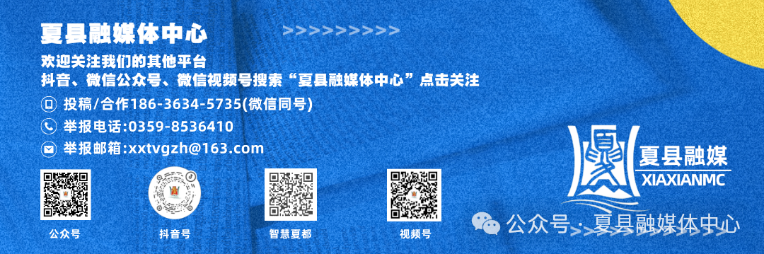 Xia County Aimi Optoelectronics: First Batch of 36,000 LCD Display Assemblies Exported Overseas