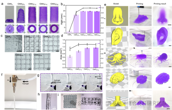 High Self-Supporting Chitosan-Based Hydrogel Ink for In Situ 3D Printed Diabetic Wound Dressing