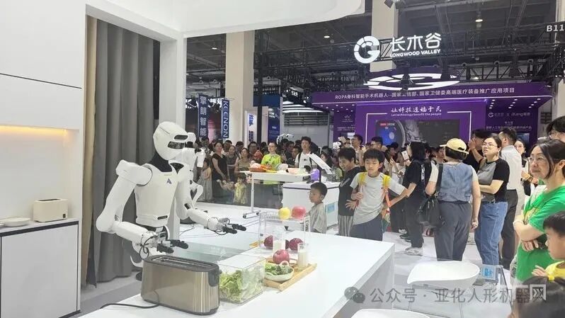 How Long Until Humanoid Robots Enter the Homes of Ordinary People?
