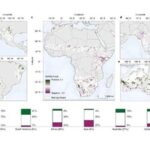 Introduction to Python Geographic Analysis: From Beginner to Expert 2 - Geographic Data Processing Made Easy