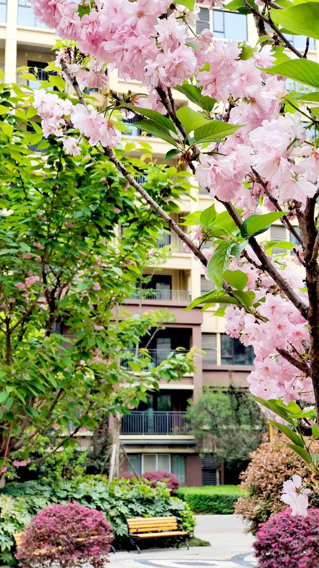Green Initiatives in Embedded Communities: From Policy to Practice - A Model of Low-Carbon Living by Sanyi Health and Shigu Huating