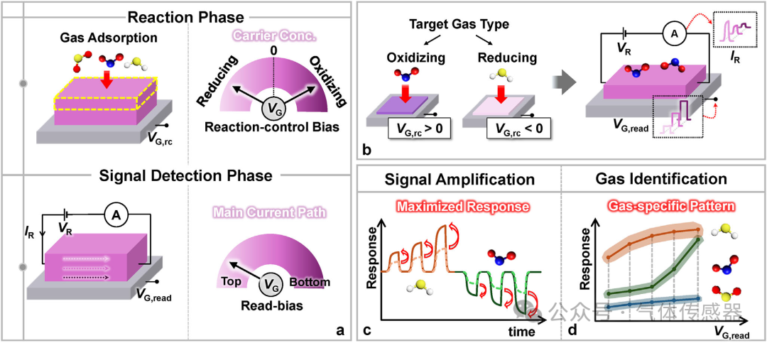 Adv. Sci.: A Novel Gas Sensor Signal Acquisition Method - Amplifying Sensor Signals for Efficient Gas Identification
