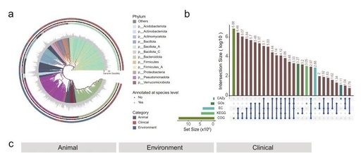 MAGdb: A Comprehensive High-Quality Repository for Exploring Microbial Metagenome-Assembled Genomes
