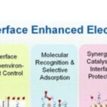 Organic Interface Enhanced Electrocatalysis