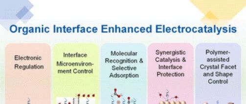 Organic Interface Enhanced Electrocatalysis