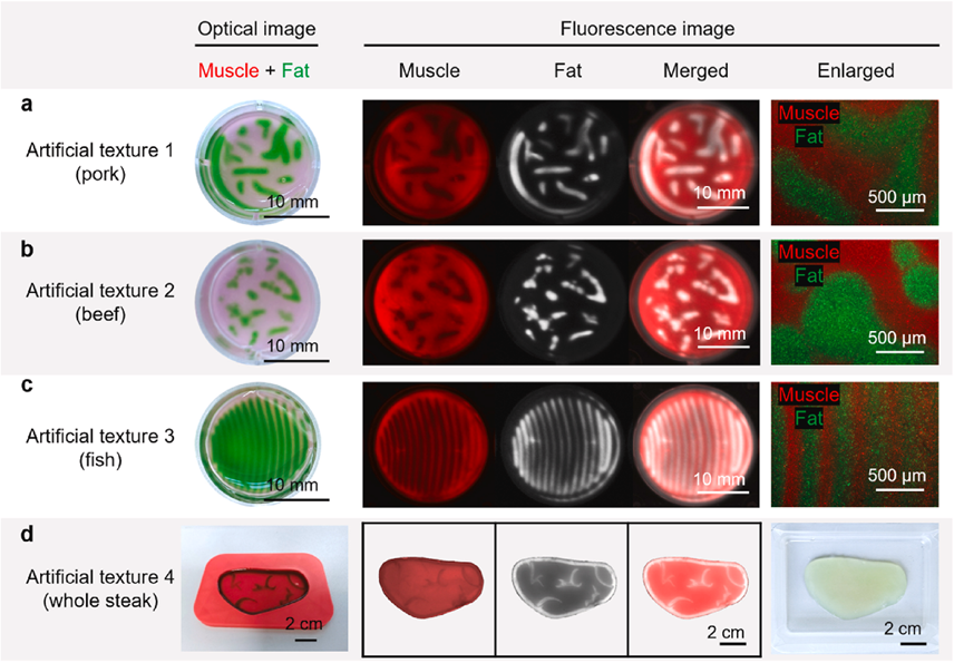 Embedded Bioprinting Enables Precise Fabrication of Cultured Meat with Authentic Structural Properties