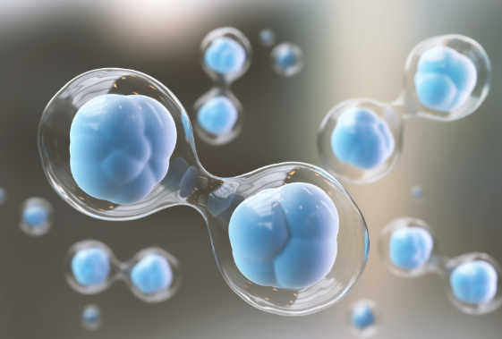 Spinal Cord 'Circuit Board' Damage? Decoding Neural Repair Technology: From Stem Cells to Electrical Stimulation, Restarting the Human 'Superpower' Blueprint!