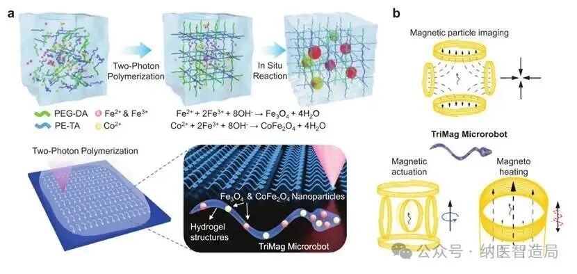 3D Printed Microrobots: Navigating, Temperature Sensing, and Treating Diseases Inside the Body, Advancing Precision Medicine