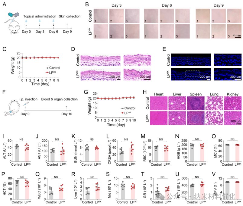 A Bioinspired Lipopeptide Surmounts Therapeutic Dilemmas of Gram-Positive and Gram-Negative Polymicrobial Infection