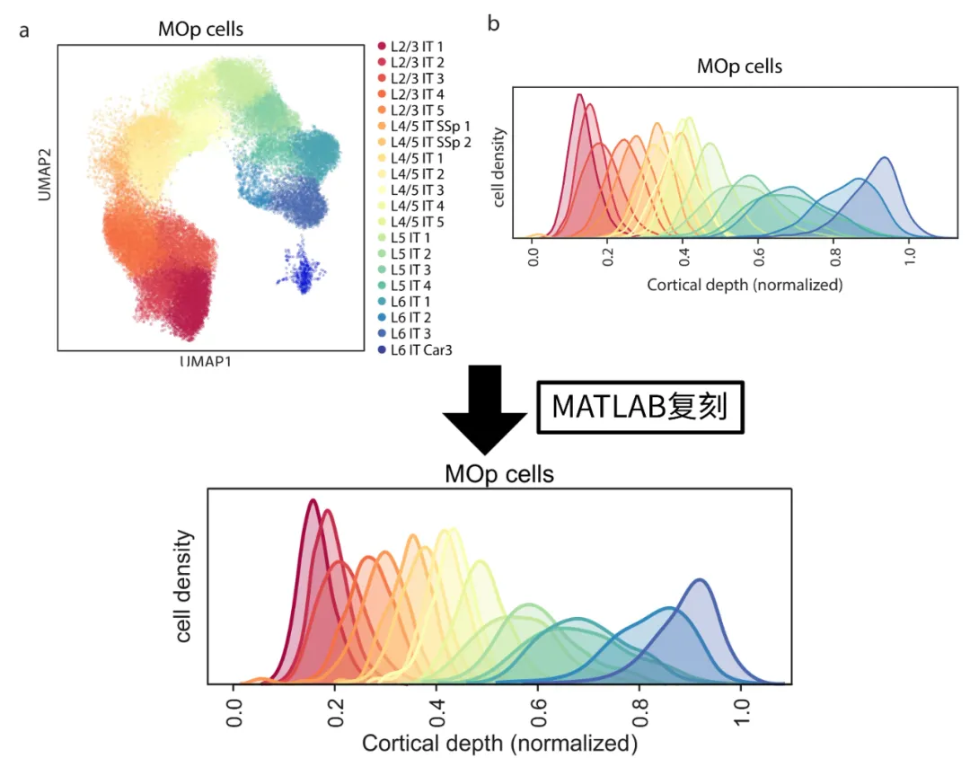 Advanced Matlab Plotting Issue 89 - Single Group Bar Chart with Significance Markers