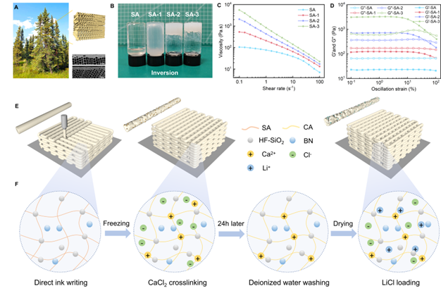 3D Printed Biomimetic Porous Hygroscopic Materials for Rapid Dehumidification and Regeneration