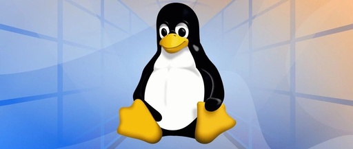 Common Network Tools in Linux