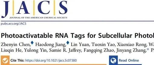Photoactivatable RNA Tags for Subcellular Photolabeling of RNA