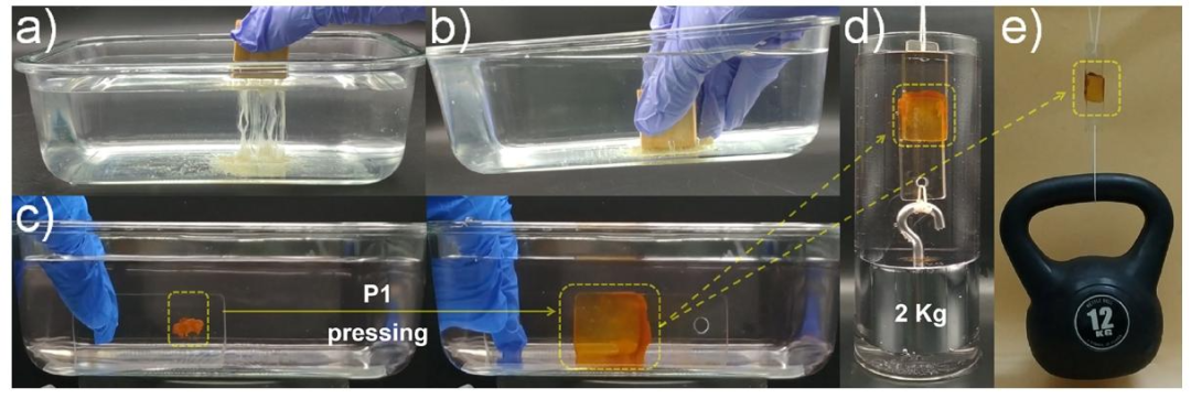 Low-Molecular-Weight Supramolecular Adhesives: High Strength, Long-lasting, Water-Resistant, and Underwater Adhesion Properties
