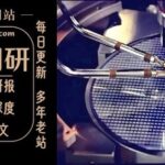 Accelerating Domestic ASIC Development: A Scarcity of Key Companies