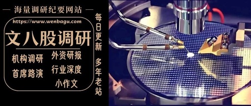 Accelerating Domestic ASIC Development: A Scarcity of Key Companies