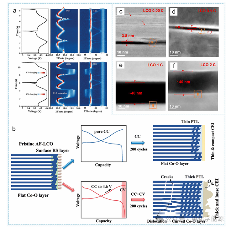 Designing High Energy Density Lithium-Ion Batteries: From Key Cathode Materials to Pouch Cell Innovations