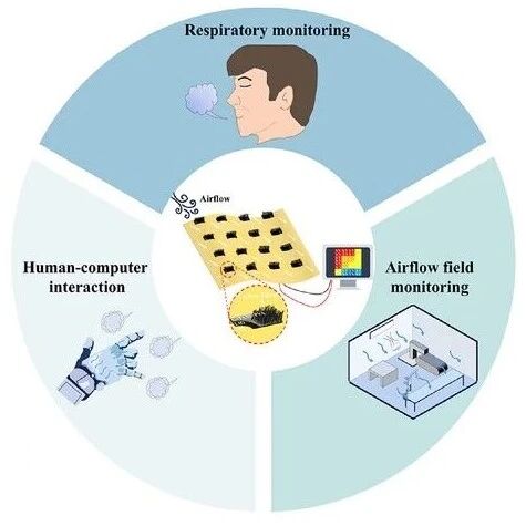 Bionic 'Electronic Hair': High-Sensitivity Flexible Airflow Sensor for Large-Area Sensing