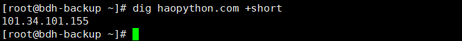 Installation and Usage of dig and nslookup Tools in Linux Systems
