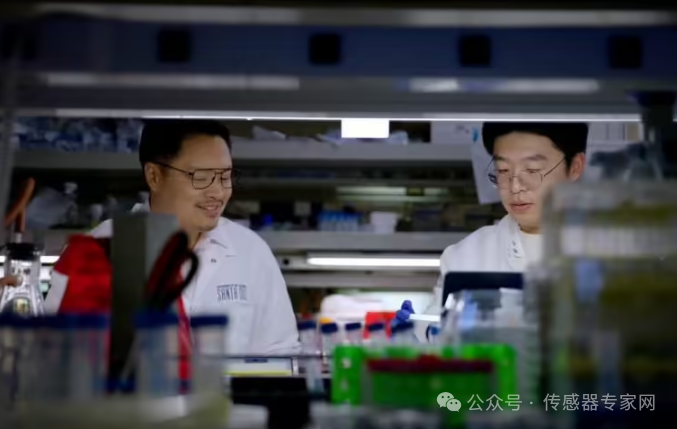 New Type of Biosensor Launched: Detect Cortisol Levels Using Your Smartphone, More Accurate than Hospital Tests