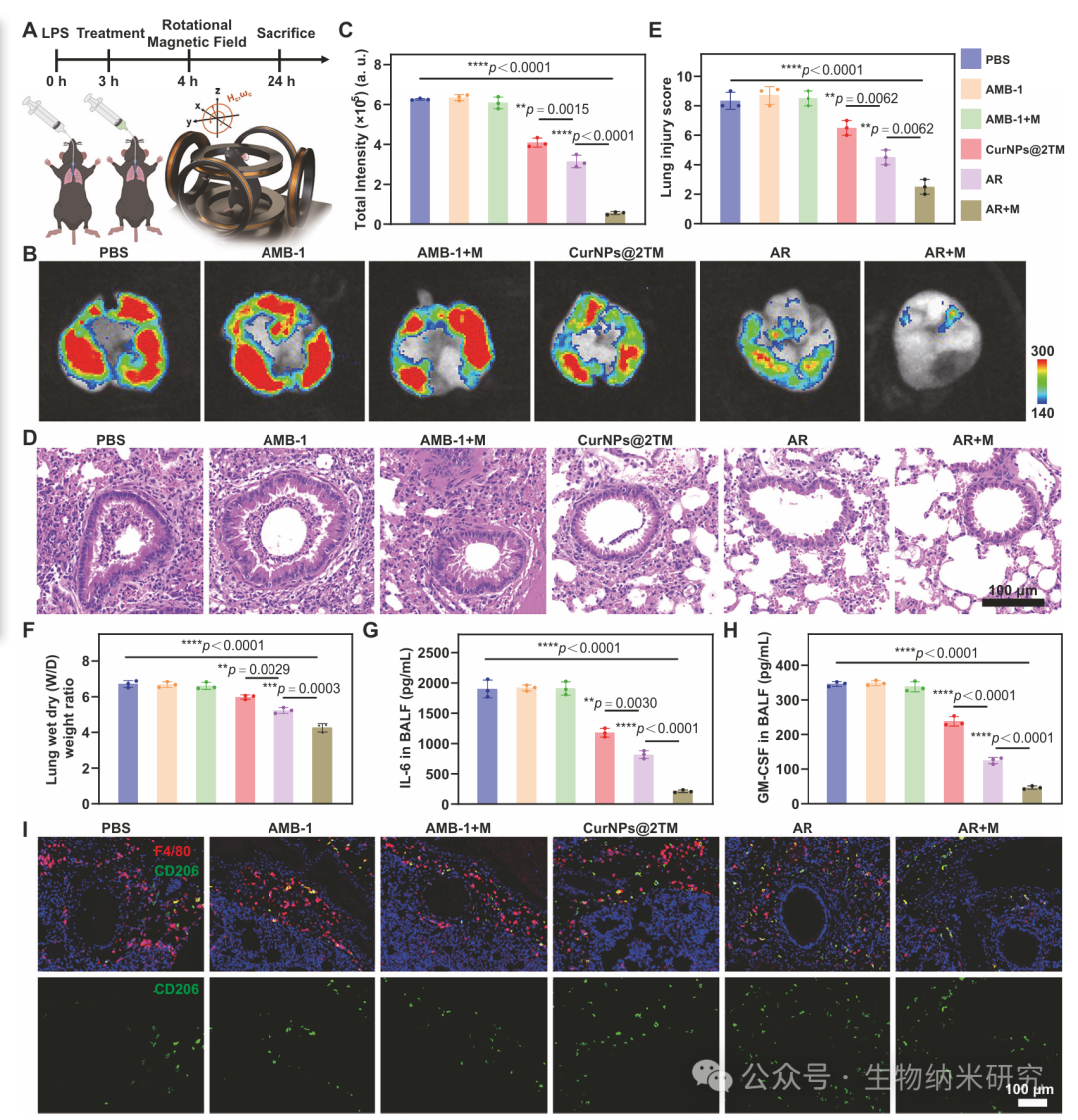 Microbots Strike! Yu Yingfeng/Peng Fei/Shen Lihan Nature Subjournal: Magnetically Controlled "Bacterial Team" for Precise Treatment of Pneumonia