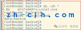 oVirt 4.4.3 Open Source Virtualization Platform: Exporting Virtual Machines in OVA Format