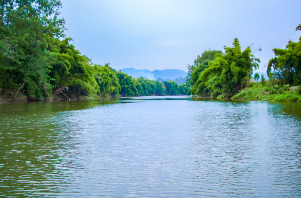 Instant Response and Accurate Monitoring! Ning Shui Technology's Intelligent COD Sensor for Precise Water Quality Assessment!