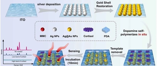 Ultrasensitive Cortisol Detection Using Ag@Au SERS Sensor with Molecularly Imprinted Polymers