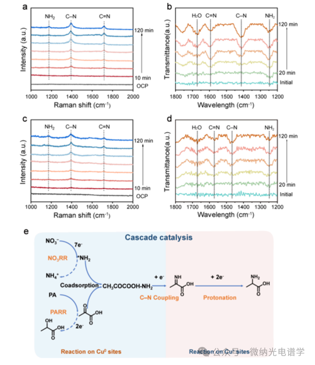 Dual Active Sites on Cu/Cu2O Heterostructures for the Cascade Electrocatalytic Synthesis of Amino Acids