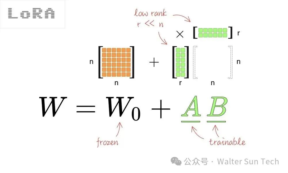 Full Fine-tuning vs LoRa Fine-tuning: Which Approach is More Suitable for You in the Era of Large Models?