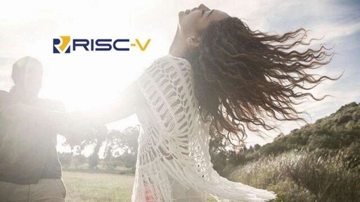 The Rise and Evolution of RISC-V: An Open Source Architecture