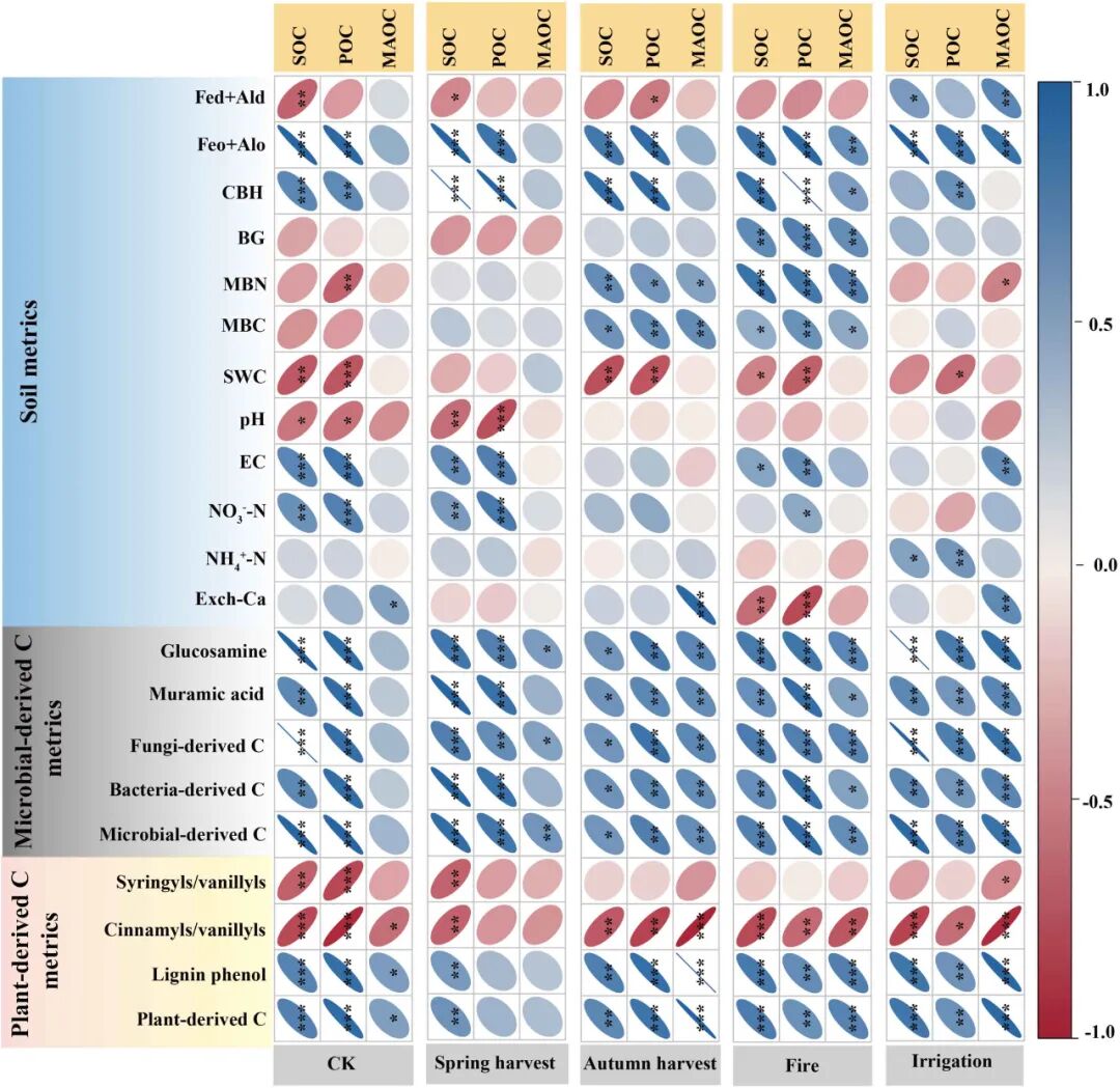 Soil Organic Carbon Loss in Hyperarid Desert Ecosystems: Long-Term Anthropogenic Disturbances Exacerbate the Situation