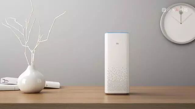 Will You Panic If Smart Speakers Become "Eavesdroppers"?