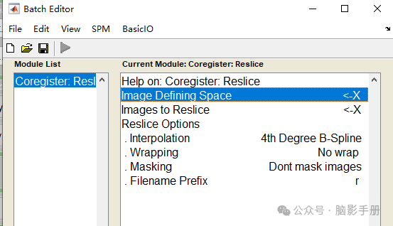 Image Resampling Guide: SPM12 Interface and MATLAB Batch Processing