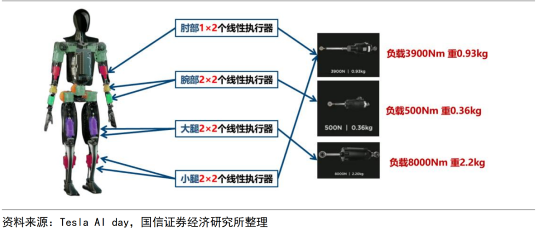The Billion-Dollar Battlefield in Robot Joints: How Domestic Lead Screws Break Through Foreign Monopoly?