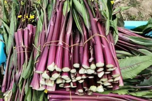 Top 10 Vegetables Rich in Vitamin C: Broccoli Ranks 10th, While the Most Loved is Number 1 - Don't Just Rely on Lemons for Vitamin C