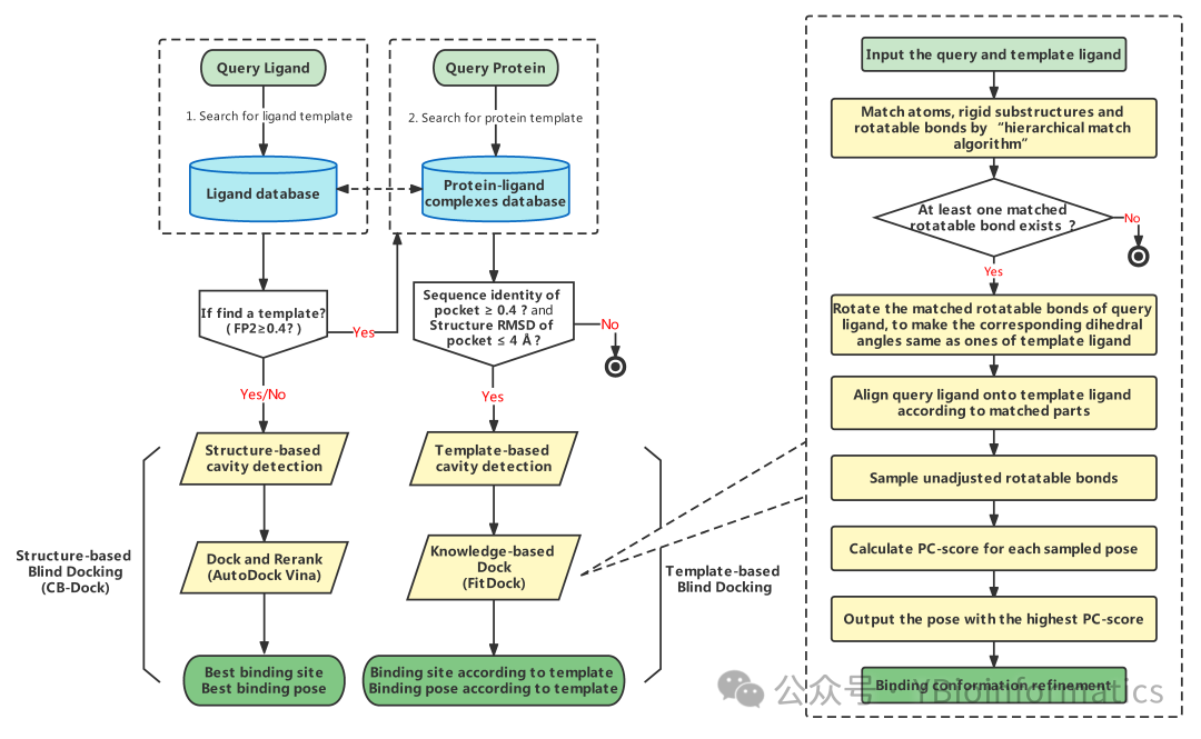 CB-Dock2: An Improved Protein-Ligand Blind Docking Workflow Combining Homology Templates and FitDock Optimization